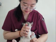 -美联众合动物医院·24h京西诊疗中心