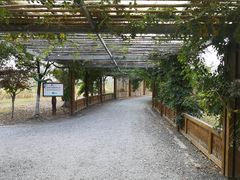 -田园东方蜜桃村的田野营地