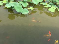 -龙头寺公园