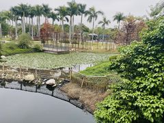 -厦门园林博览苑