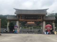 -南宁良凤江国家森林公园