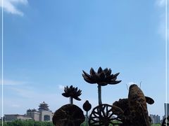 -莲花池公园