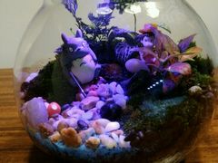 13cm&nbsp;绿植灯瓶-A+匠心DIY手工坊·首饰·微景观