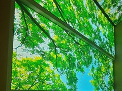 -水云空涧·沐足·采耳·按摩·SPA影院(琶洲店)