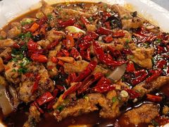 -龙翔山庄雷鸡肉(青城后山泰安古镇店)