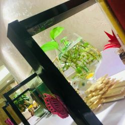 -本真坊美容美体沙龙