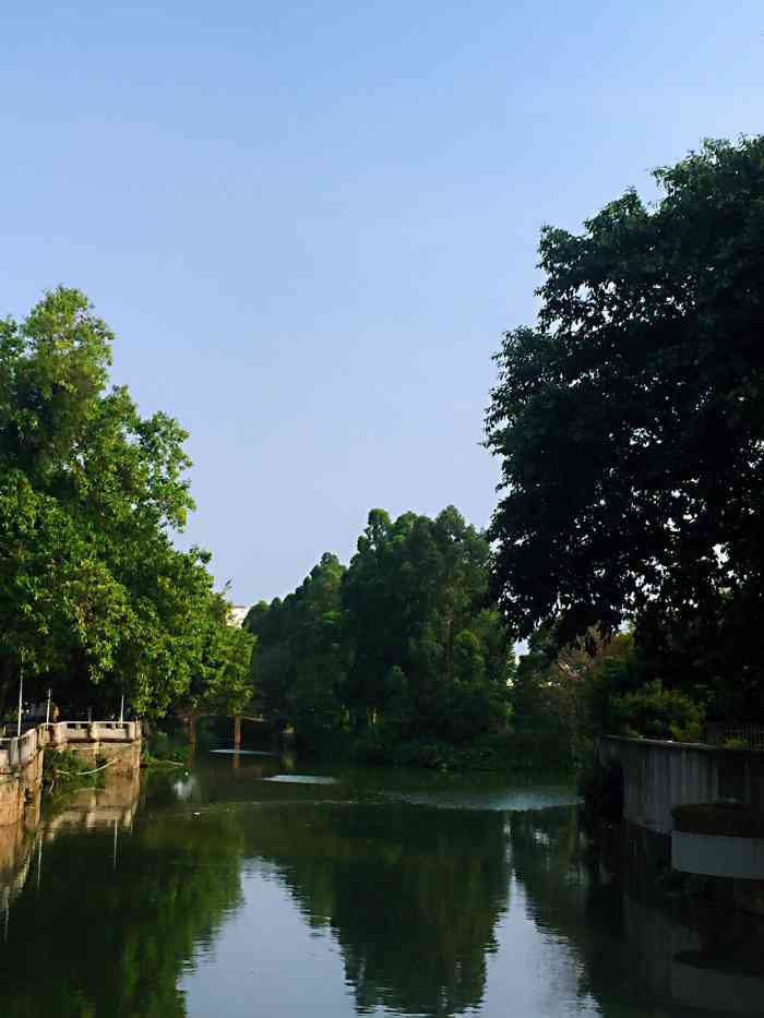 北滘文化广场-"第一次晚上来北滘文化广场,就在北滘公园隔.