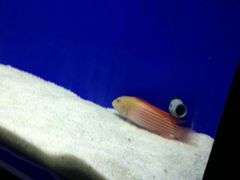 -洛阳龙门海洋馆