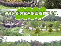 -东莞植物园