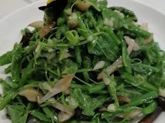 -福孕妈妈家政•月嫂育儿嫂保姆