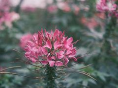 -人民公园(罗湖区)