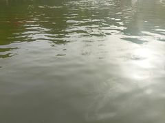 -莲湖公园