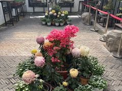 -B&C黄油与面包·THE GARDEN BAKERY概念店(世纪汇店)