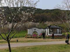 -苏州上方山国家森林公园