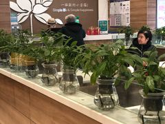 大堂-嘉和一品粥(首经贸店)