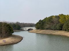 -上海海湾国家森林公园