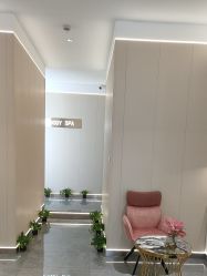 点击看大图 -京世沙龙