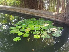 -鸿山公园