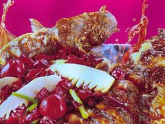 -老板恋上鱼(恒隆广场店)