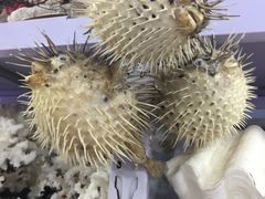 -东戴河风景区-止锚湾