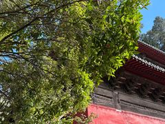 -报恩寺(平武县)