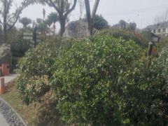 -溧阳天目湖天沐温泉