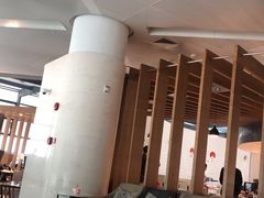 -虹桥机场国航贵宾室v8