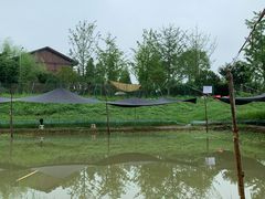 -梁子湖东篱老屋生态庄园