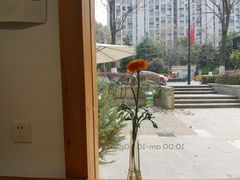 -COTTON CAFE(德信·中外公寓店)