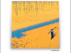 -北岐滩涂