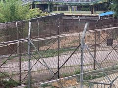 -深圳野生动物园