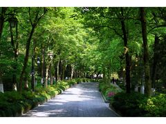-杭州植物园