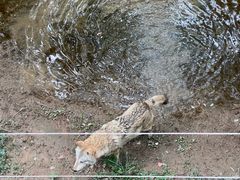 -石家庄市动物园