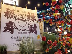 -龙湖重庆时代天街