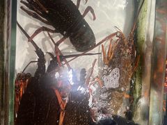 -万龙洲海鲜(南新仓店)