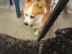 -小梁哥云吞面(黄贝岭店)