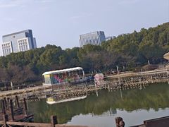 -桐乡植物园
