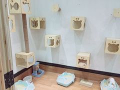 -猫色咖啡·猫咖