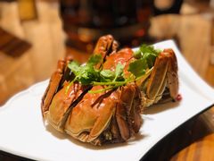 -呼吸森林·生态农庄农家乐私房菜