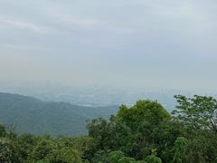 -杭州半山国家森林公园