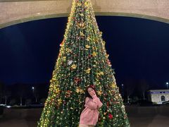 -郑州银基黄帝宫御温泉