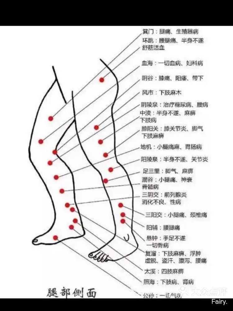 腿部反射区及疾病图解图片