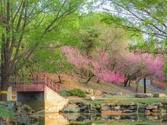 -莲花池公园