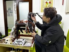 -美联众合动物医院·24h转诊中心