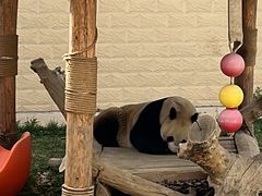 -石家庄市动物园