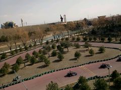 -太阳部落