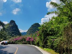 -万峰林风景区