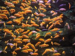 -多彩贵州城极地海洋世界