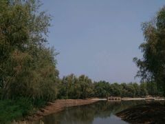 -微山湖红荷湿地景区