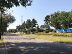 -永定河休闲森林公园